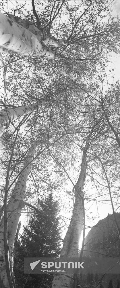 Almaty natural reserve