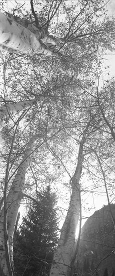 Almaty natural reserve