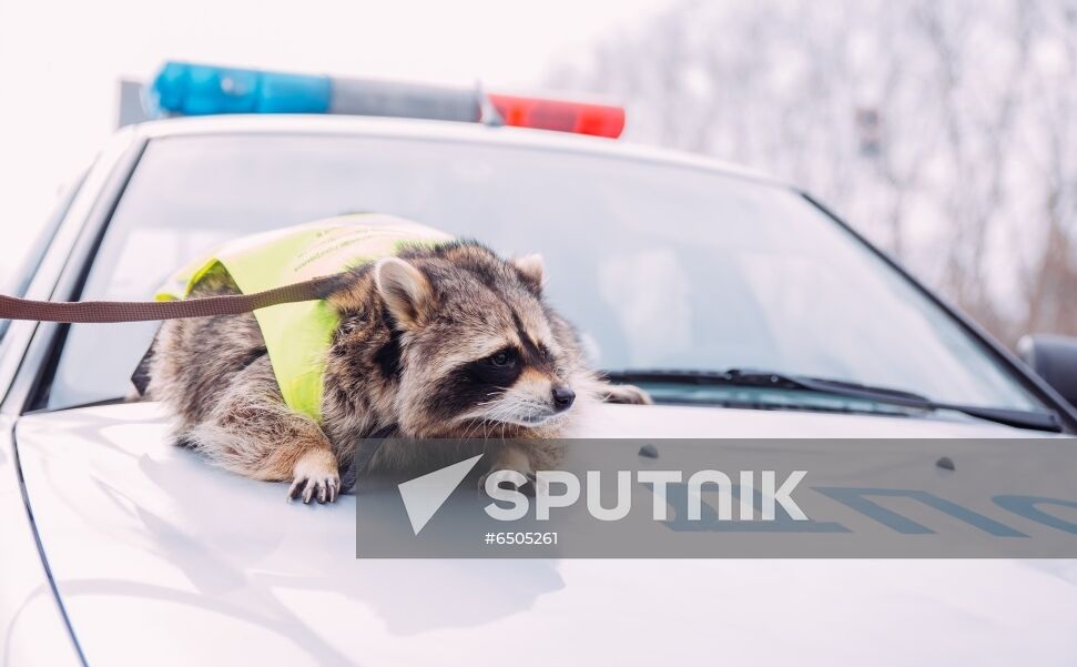 Russia Daily Life