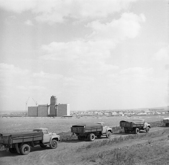 Harvesting grain crops at Lvovsky State Farm
