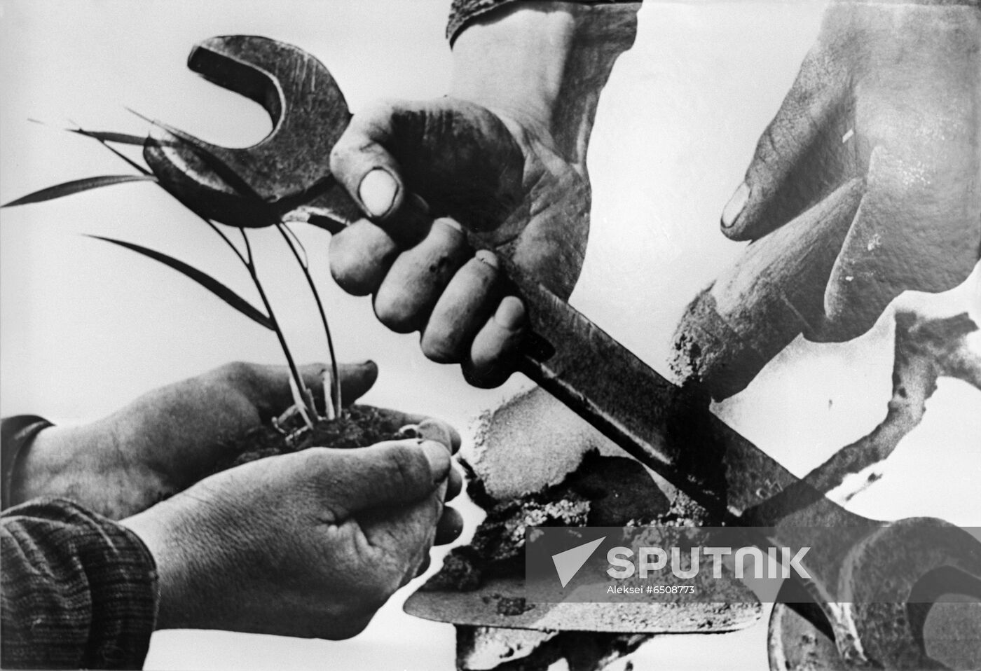 International artistic and documentary photo exhibition
