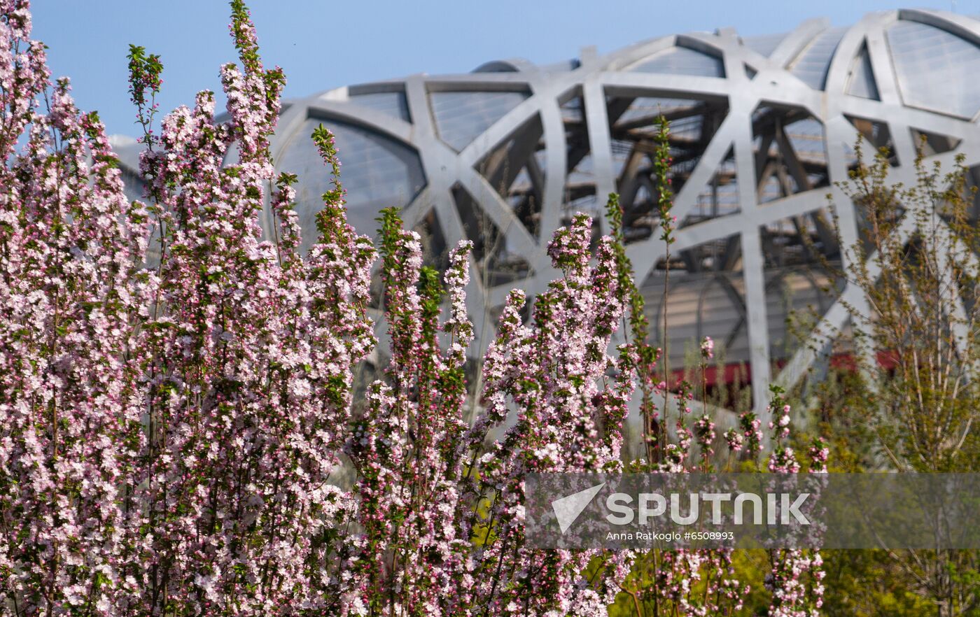 China Olympics 2022 Preparations