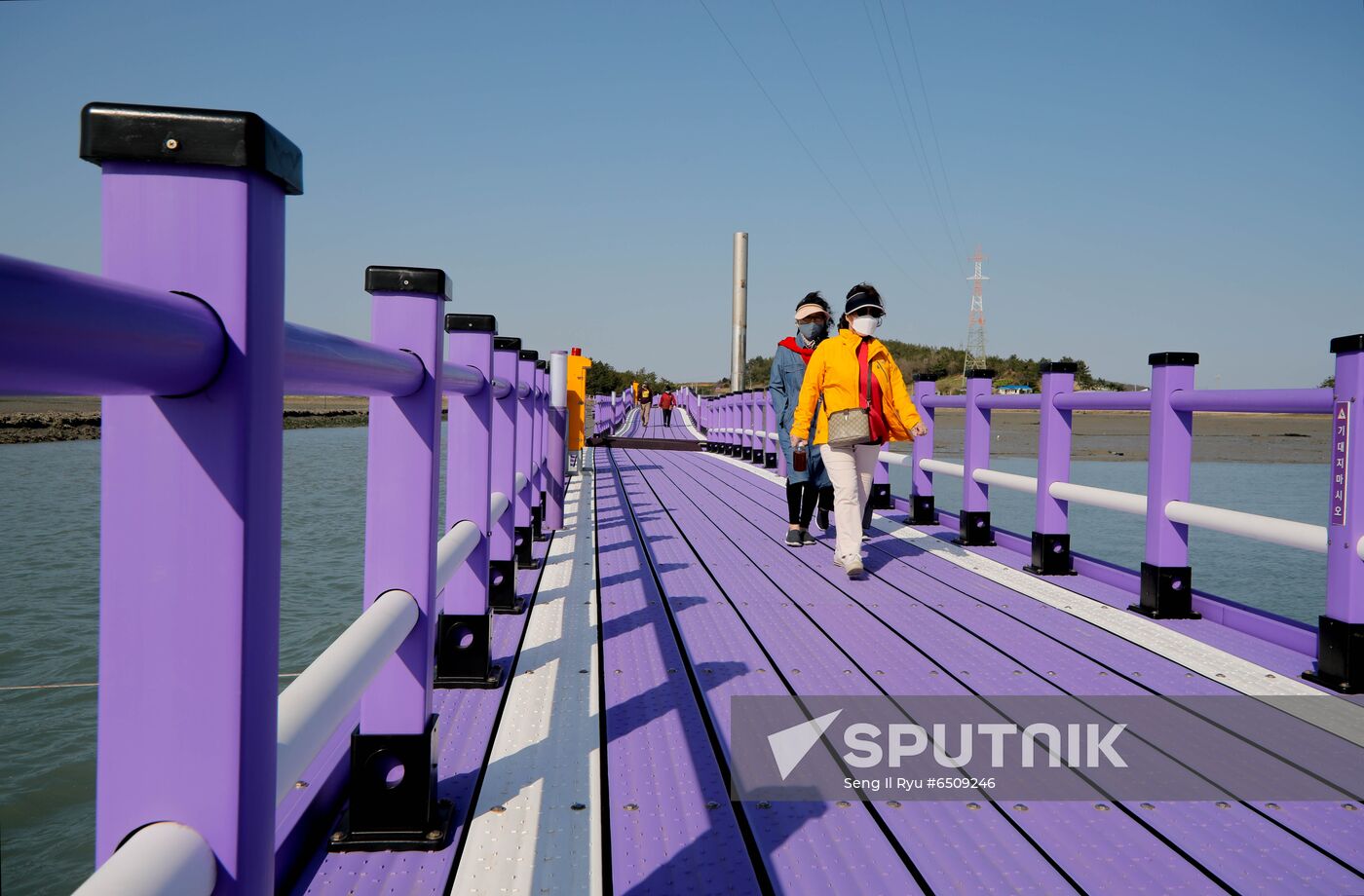 South Korea Purple Islands