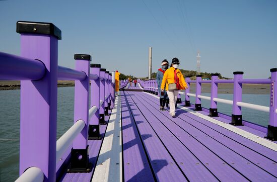 South Korea Purple Islands