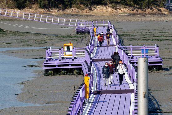 South Korea Purple Islands