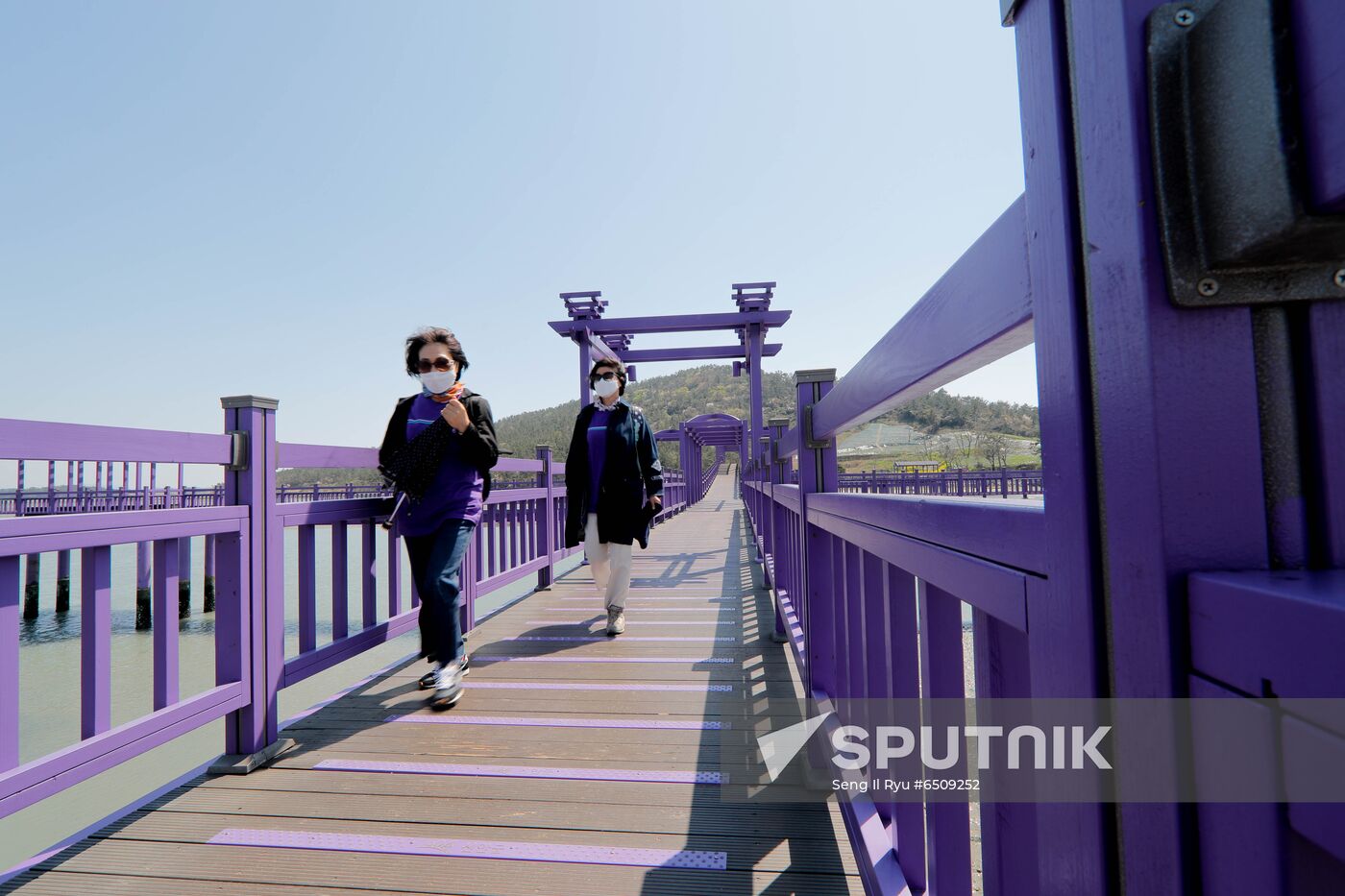 South Korea Purple Islands