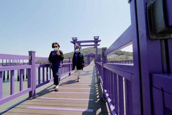 South Korea Purple Islands