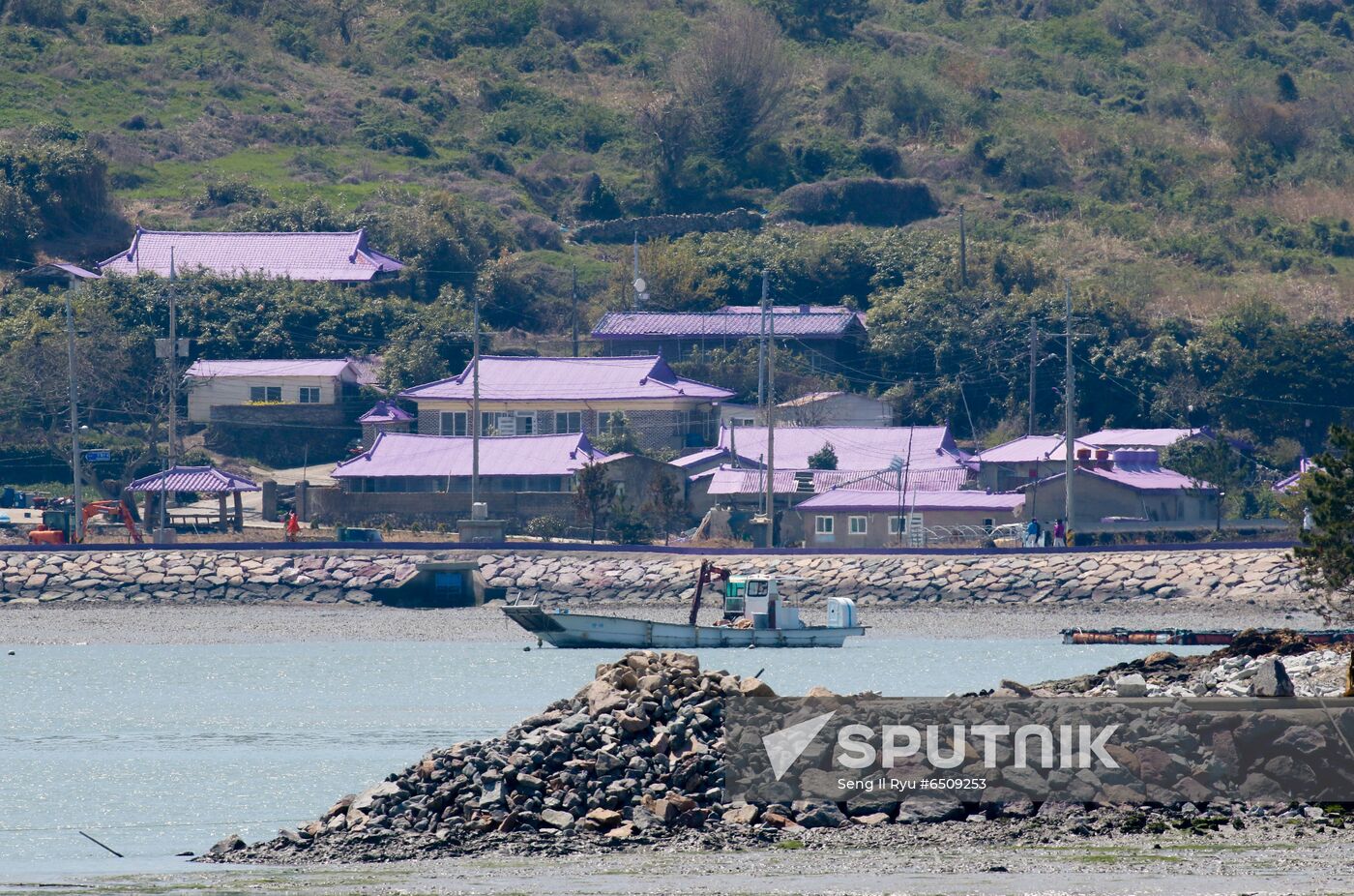 South Korea Purple Islands