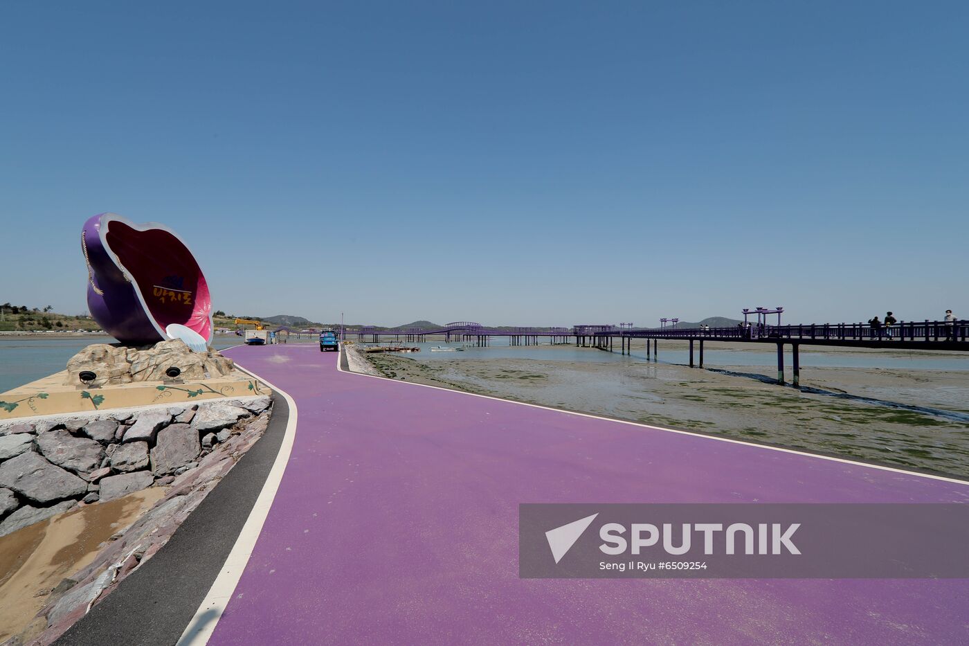 South Korea Purple Islands