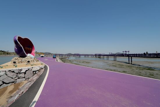 South Korea Purple Islands