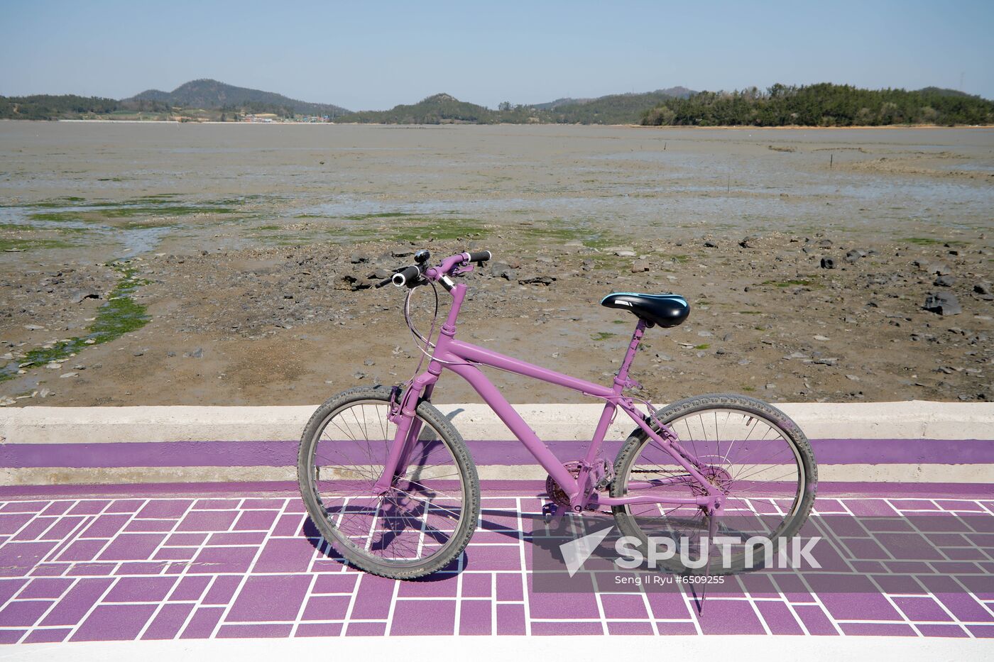 South Korea Purple Islands