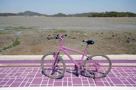 South Korea Purple Islands