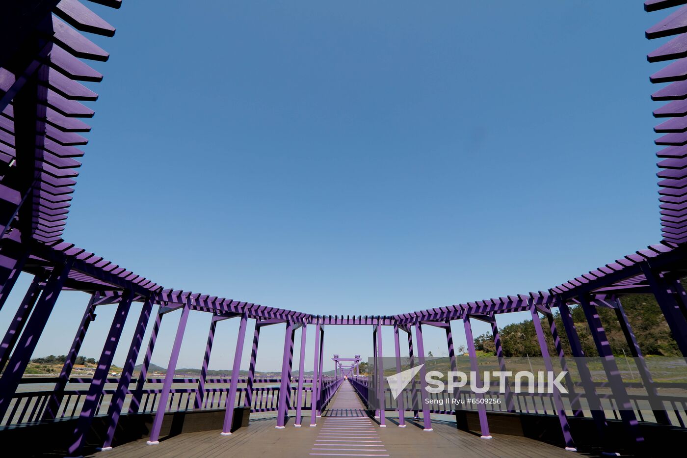 South Korea Purple Islands