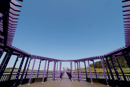 South Korea Purple Islands