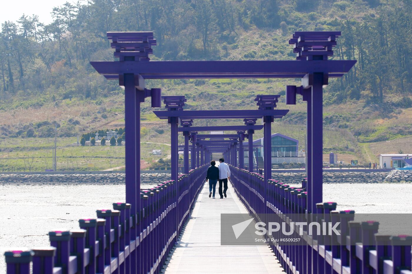 South Korea Purple Islands