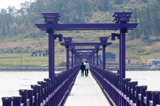 South Korea Purple Islands