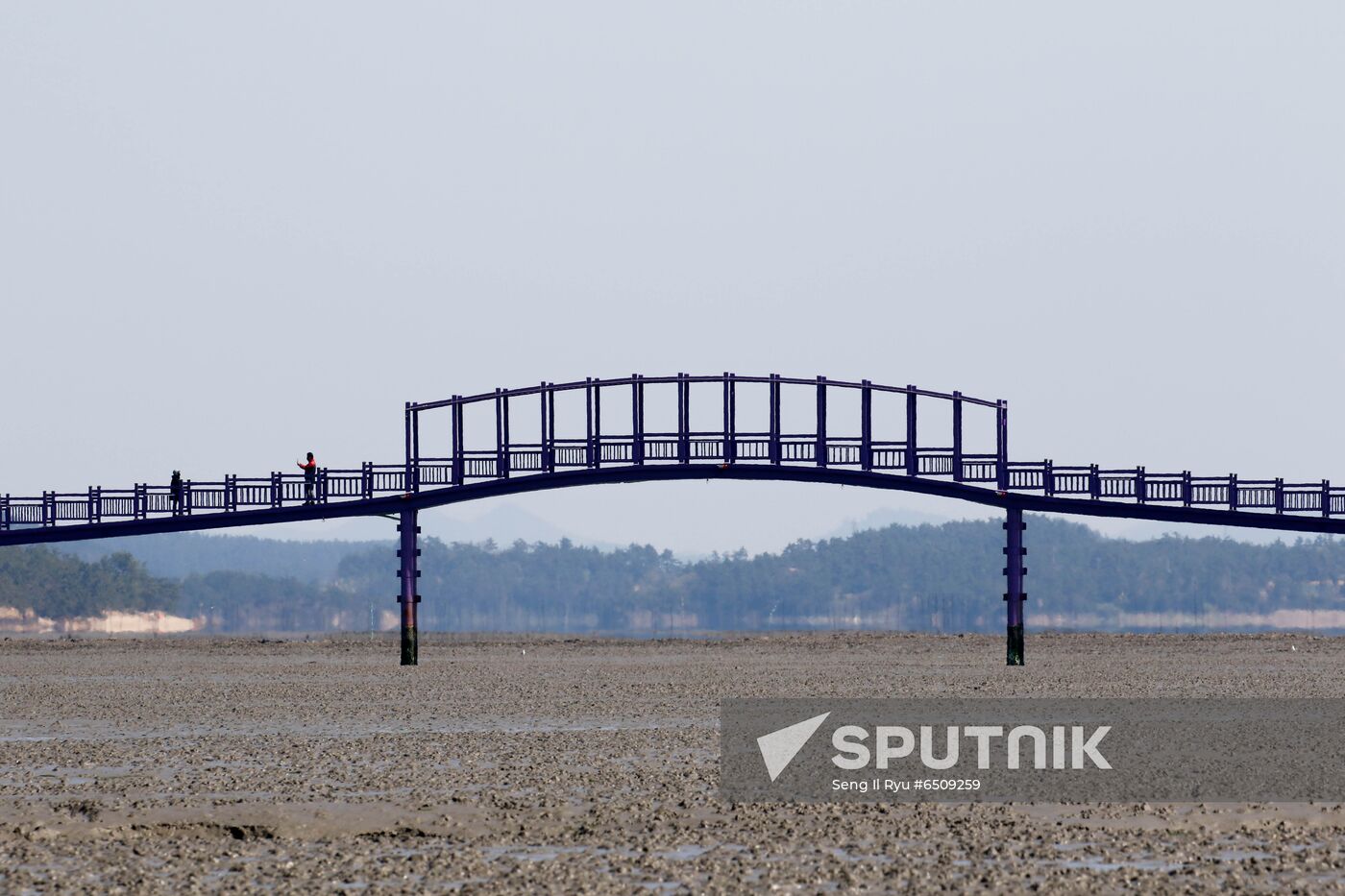 South Korea Purple Islands