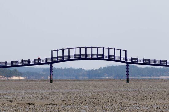 South Korea Purple Islands