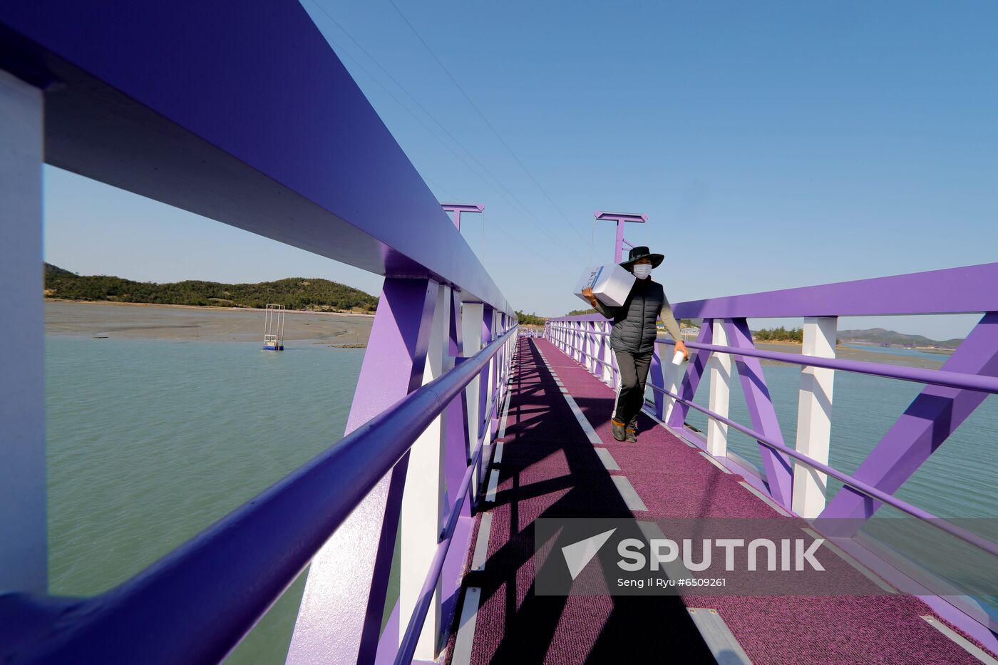 South Korea Purple Islands