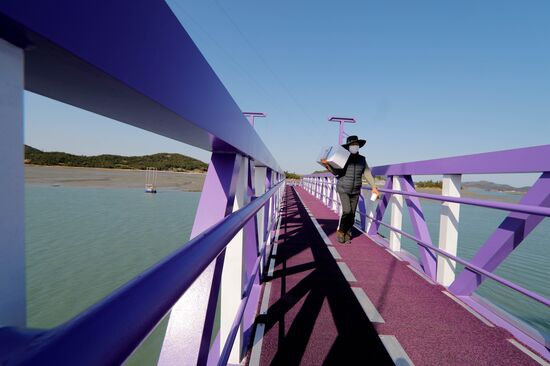 South Korea Purple Islands