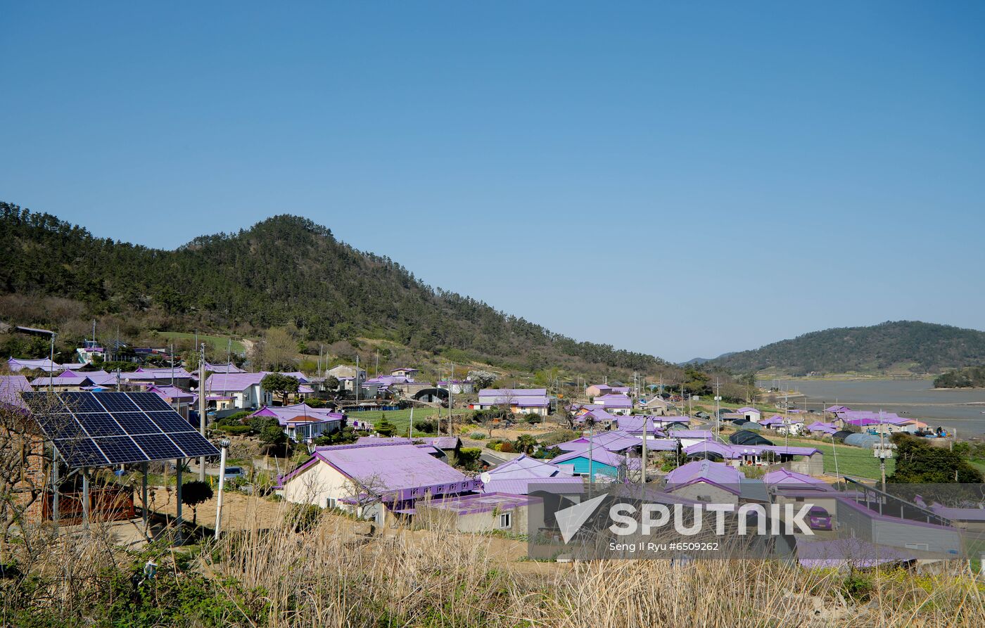 South Korea Purple Islands
