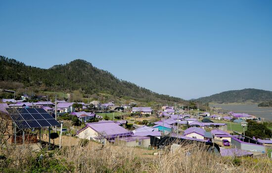 South Korea Purple Islands