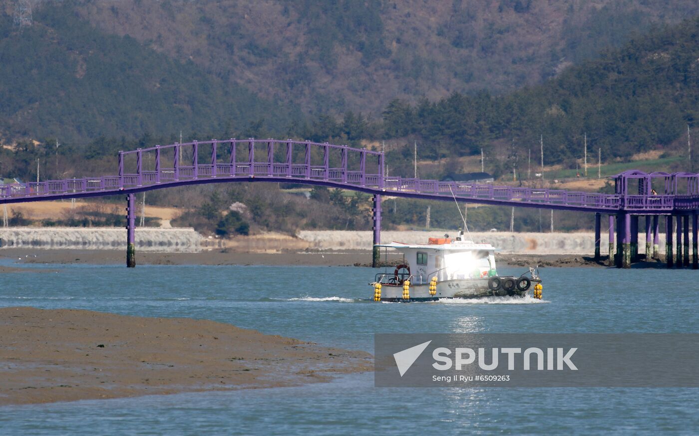 South Korea Purple Islands