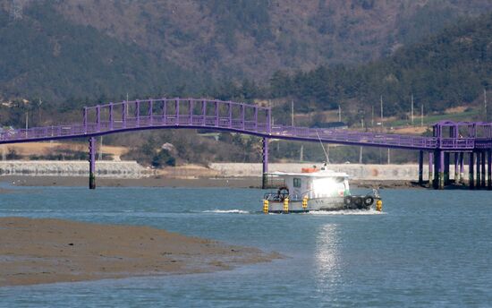 South Korea Purple Islands