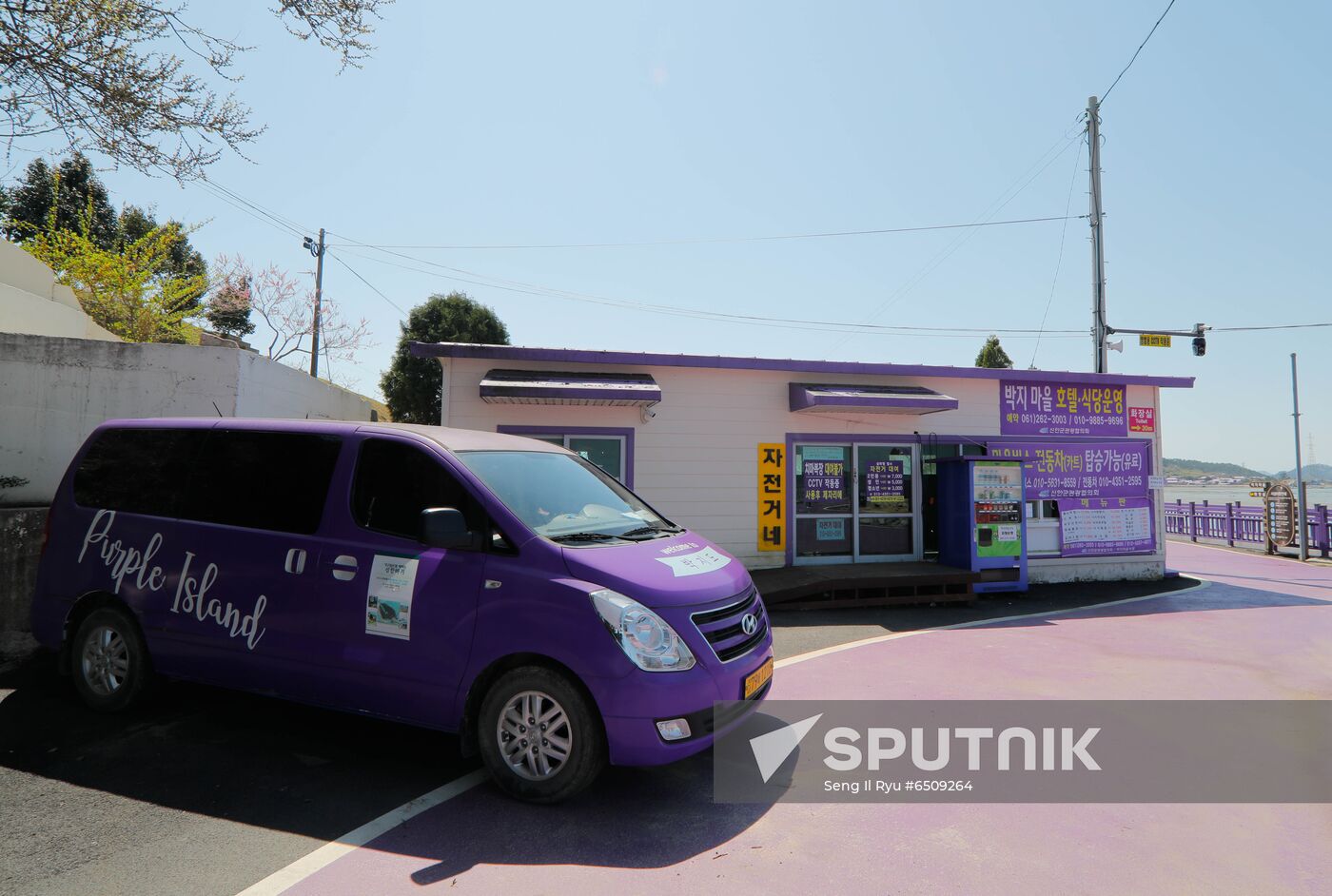 South Korea Purple Islands