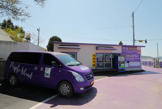 South Korea Purple Islands