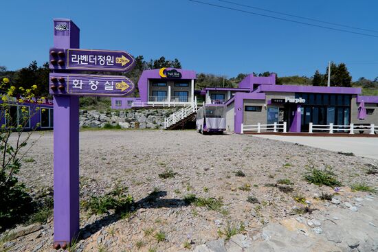 South Korea Purple Islands