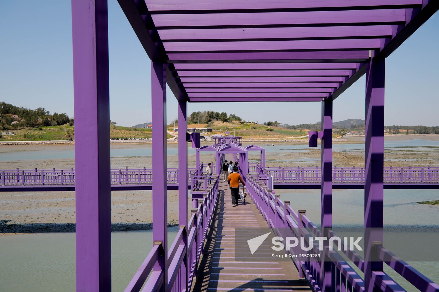 South Korea Purple Islands