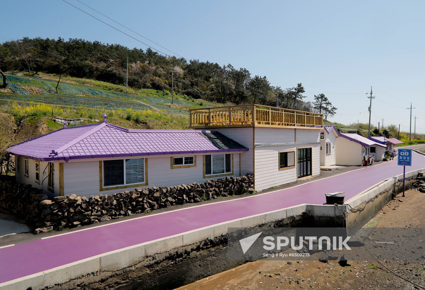 South Korea Purple Islands