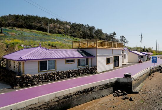 South Korea Purple Islands