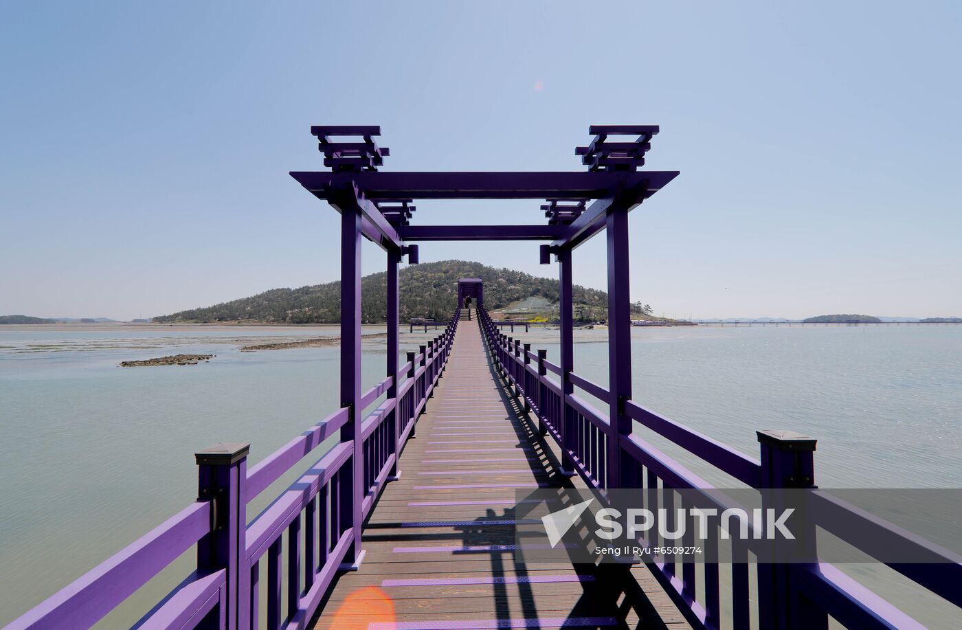 South Korea Purple Islands