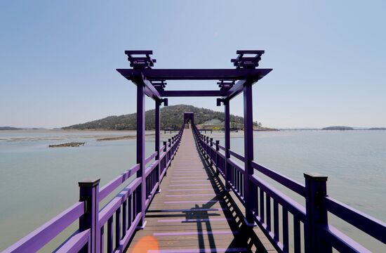 South Korea Purple Islands