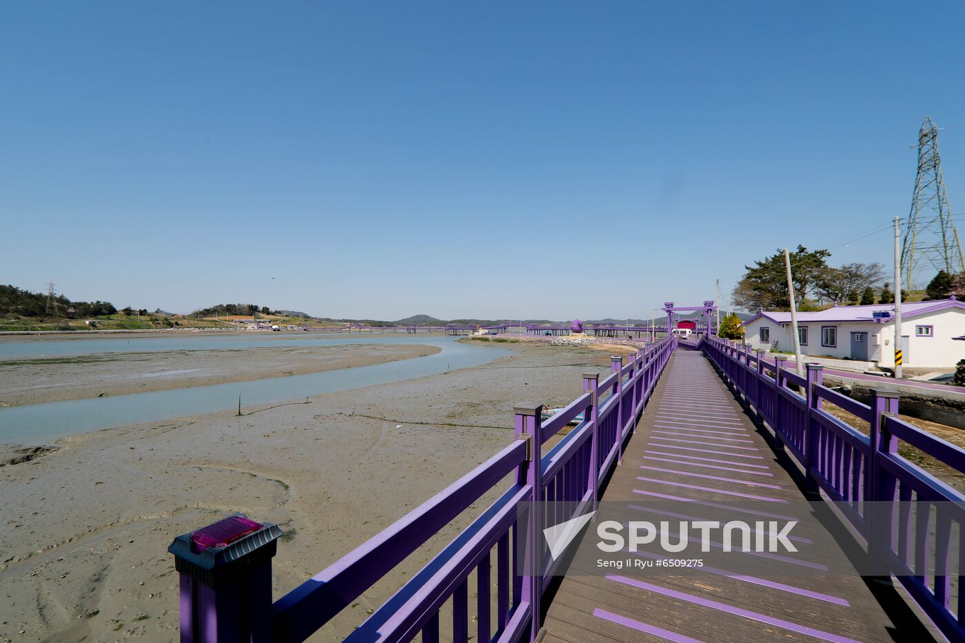 South Korea Purple Islands