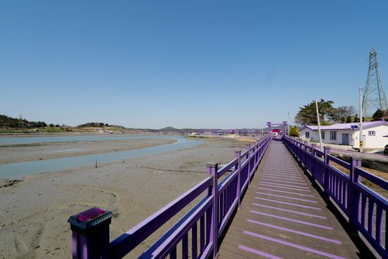 South Korea Purple Islands