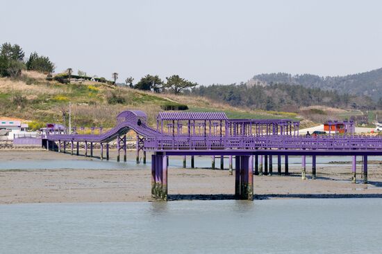 South Korea Purple Islands