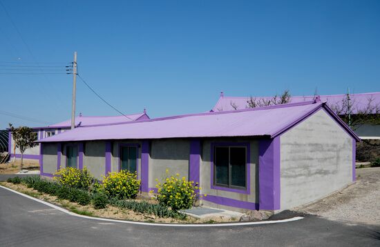 South Korea Purple Islands