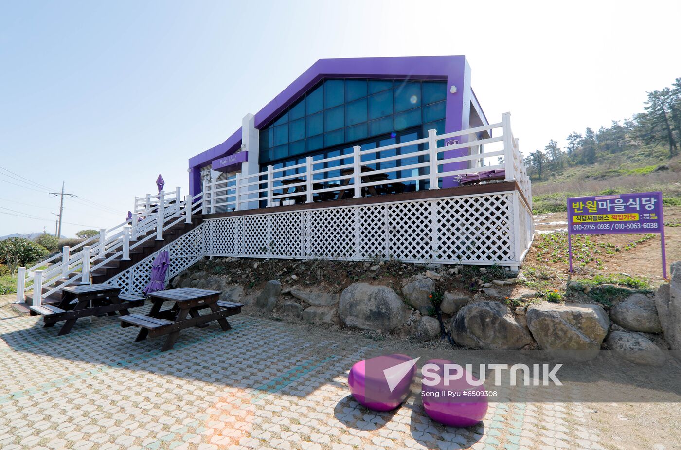 South Korea Purple Islands