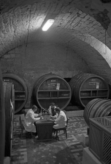 Shabo winery farm