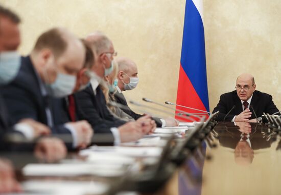 Russia Mishustin Coronavirus Governmental Board