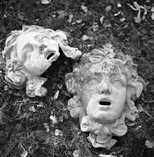 Liberating the Peterhof from Nazi occupiers
