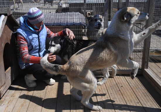 Russia Stray Dogs' Shelter