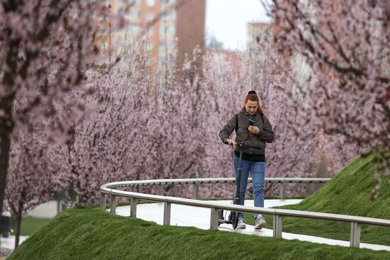 Russia Daily Life 