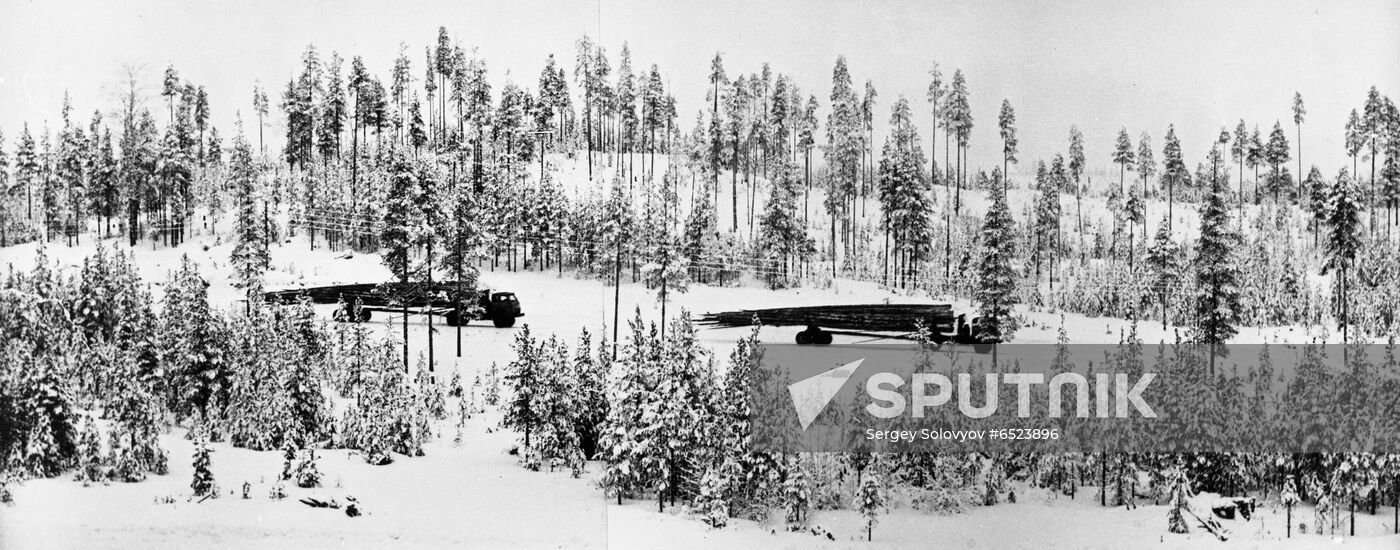 Pyaozersky logging company
