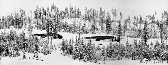 Pyaozersky logging company