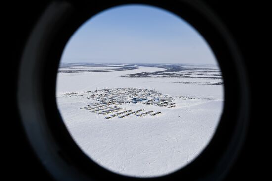 Russia Reindeer Breeding