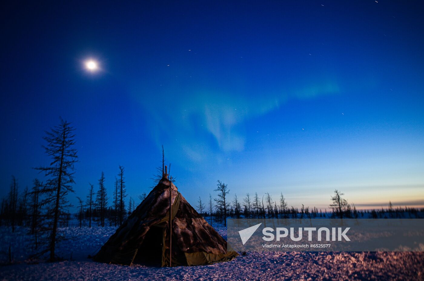 Russia Reindeer Breeding